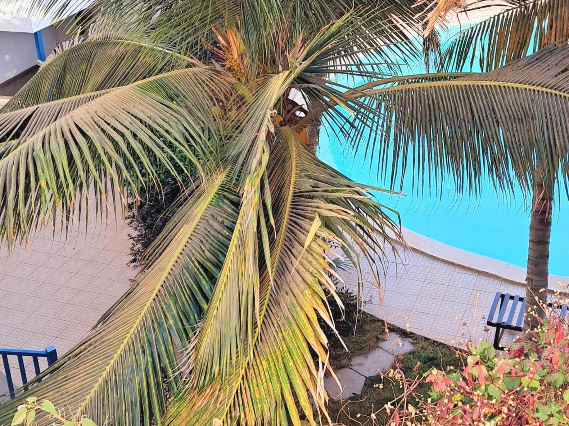 Sal Service Leme Bedje Residence Santa Maria Exterior foto